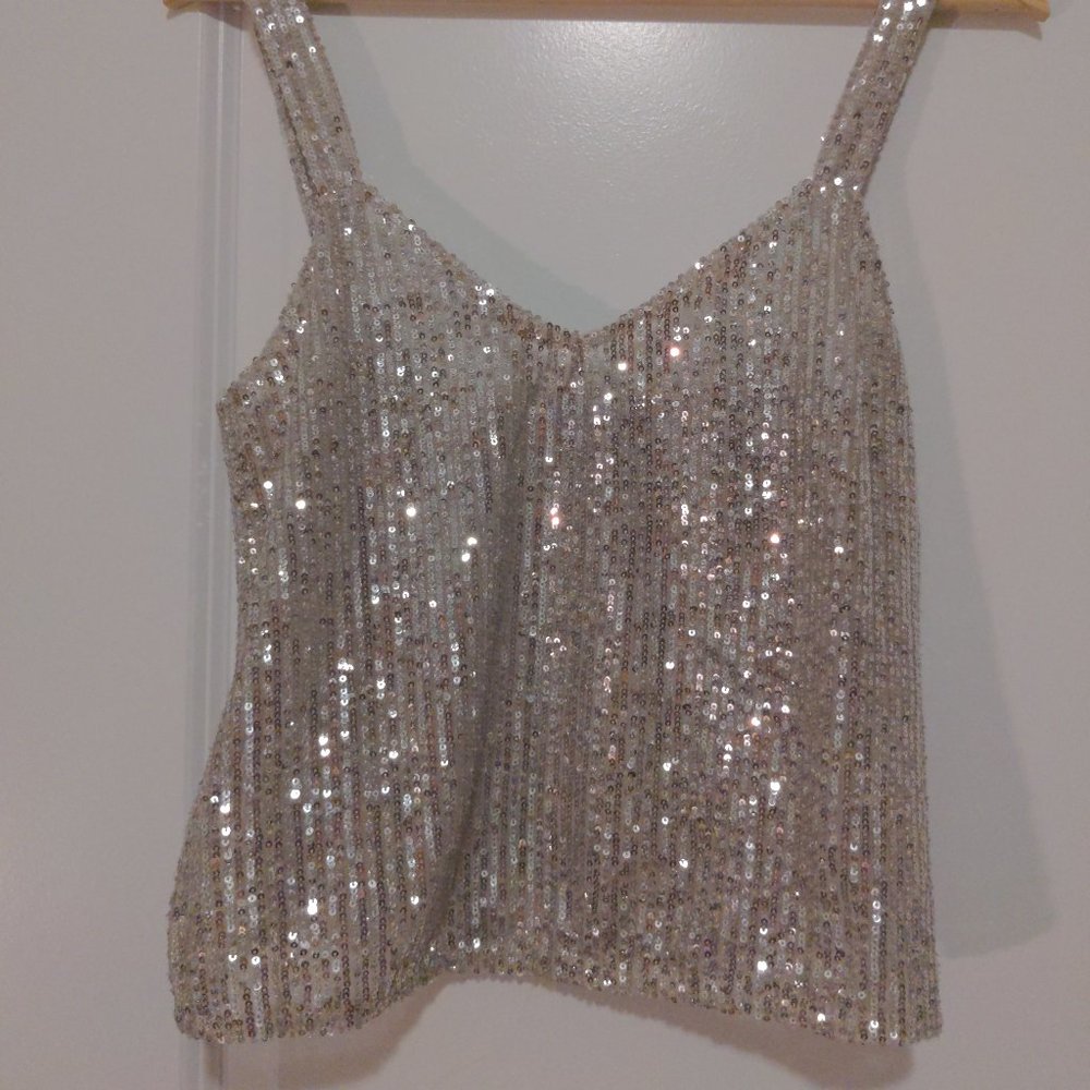 Zara Silver Sequin Mid-drift Top